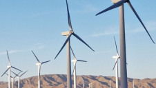 The company's carbon-neutral strategy revolves around energy efficiency, renewables and offsetting. Image: EY